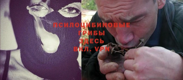 дмт Бородино