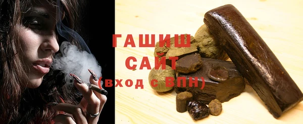 дмт Бородино