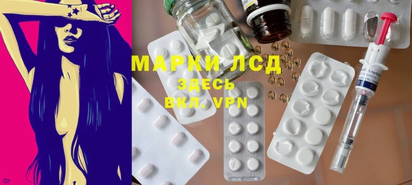 дмт Бородино