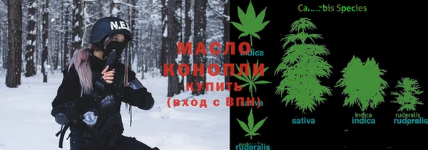 дмт Бородино