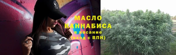 дмт Бородино