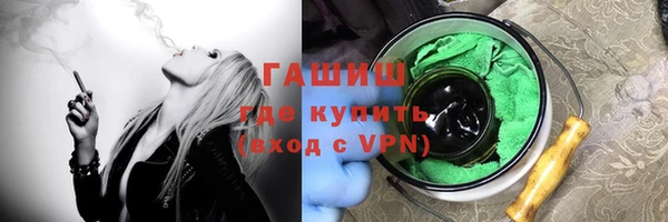 дмт Бородино