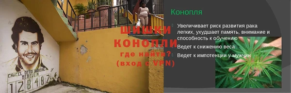 дмт Бородино