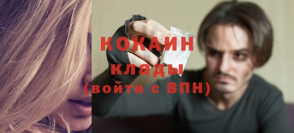 шишки Бронницы