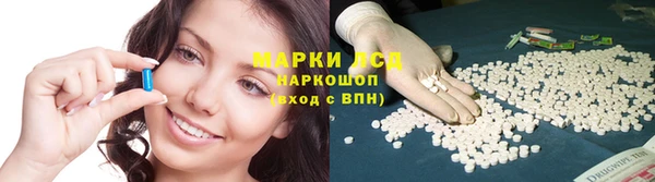 шишки Бронницы