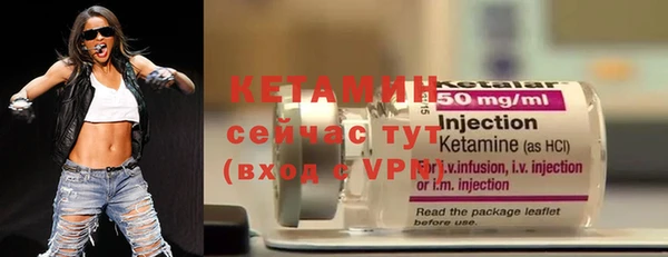 дмт Бородино