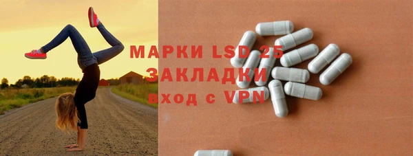 дмт Бородино