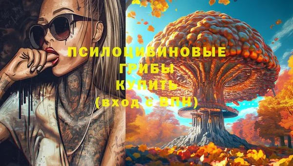 стаф Бугульма
