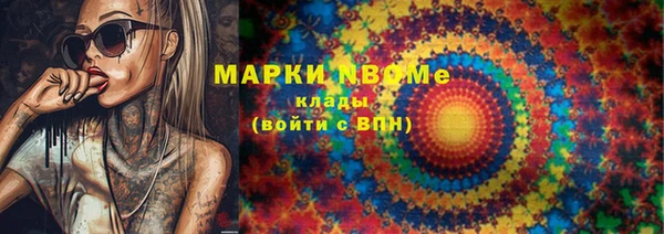 дмт Бородино