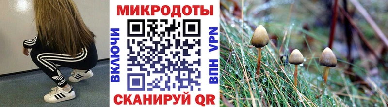 Псилоцибиновые грибы Magic Shrooms Менделеевск